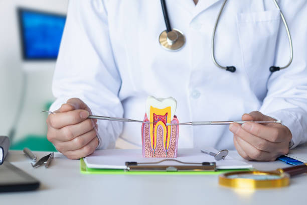 Best Emergency Tooth Extraction in Clymer, PA